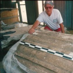 Fragment of stucco with flutes